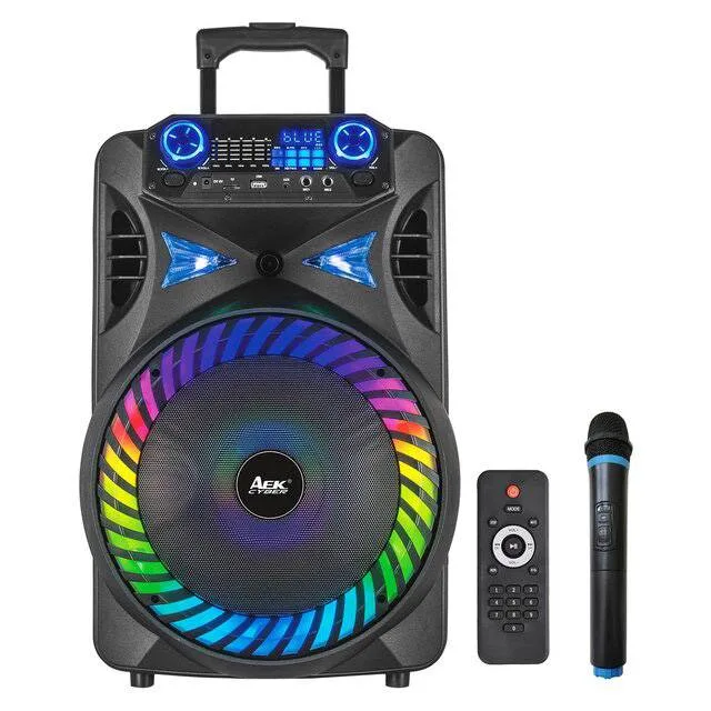 AEK YBX-009 (15") Speaker
